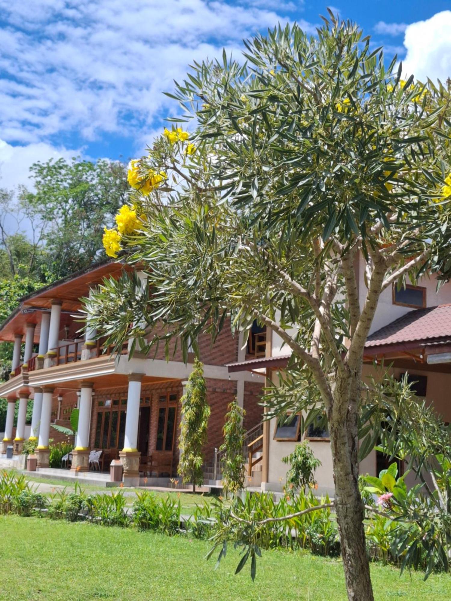Juma Cottages توك توك المظهر الخارجي الصورة